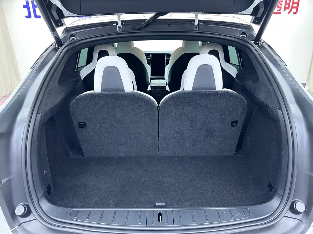 Tesla Model X — миниатюра 21