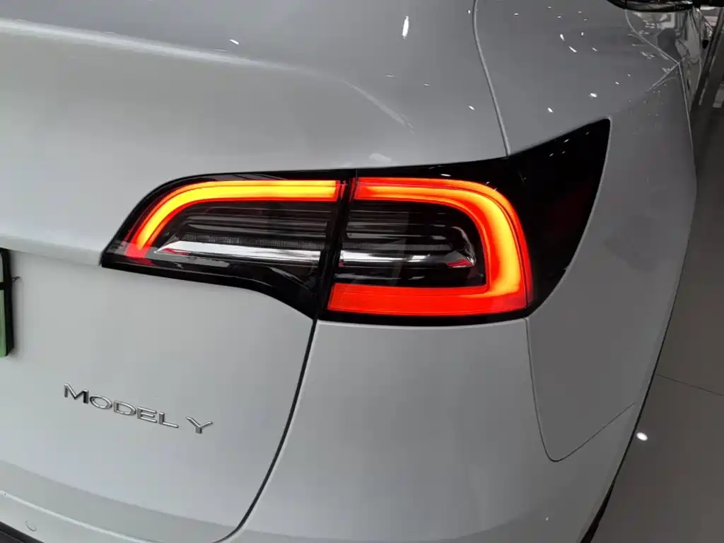 Tesla Model Y — миниатюра 8