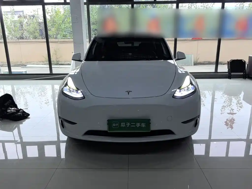 Tesla Model Y — миниатюра 3