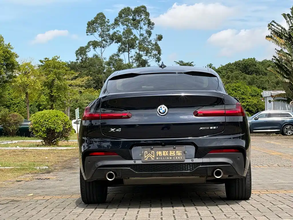 BMW X4 — миниатюра 5