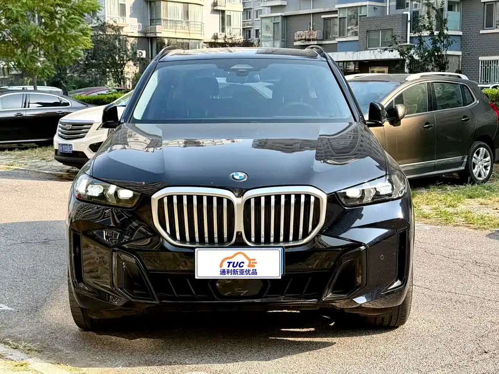 BMW X5 — миниатюра 2