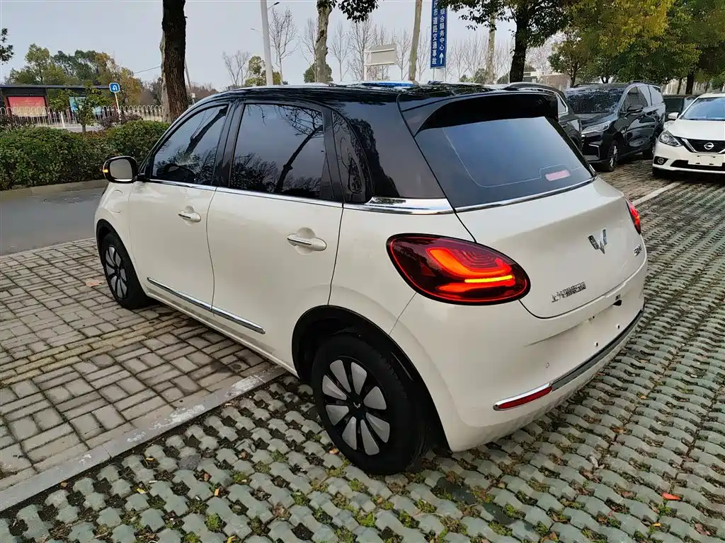 Wuling Binguo 2023 333km Enjoy +
