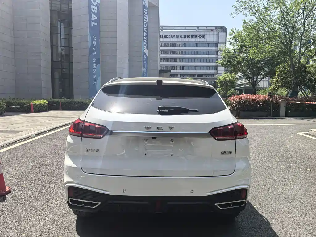 WEI PAI WEI BRAND VV5