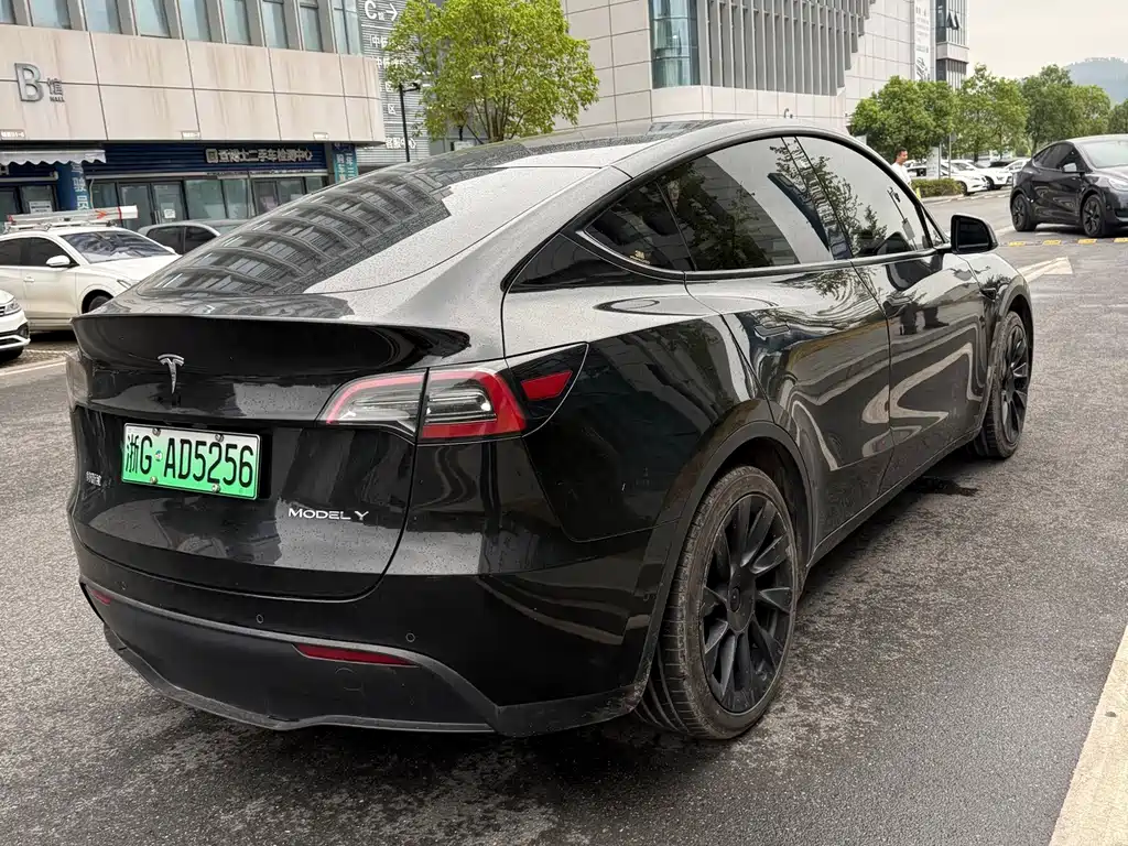 Tesla Model Y — миниатюра 12