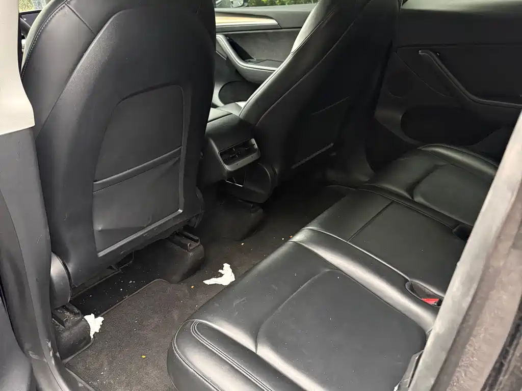 Tesla Model Y — миниатюра 7
