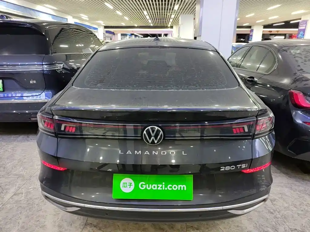 Volkswagen Lamando — миниатюра 6