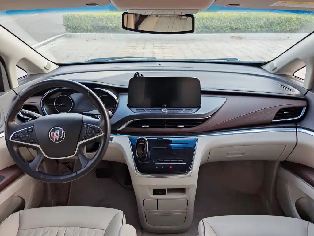 Buick GL8 — миниатюра 8