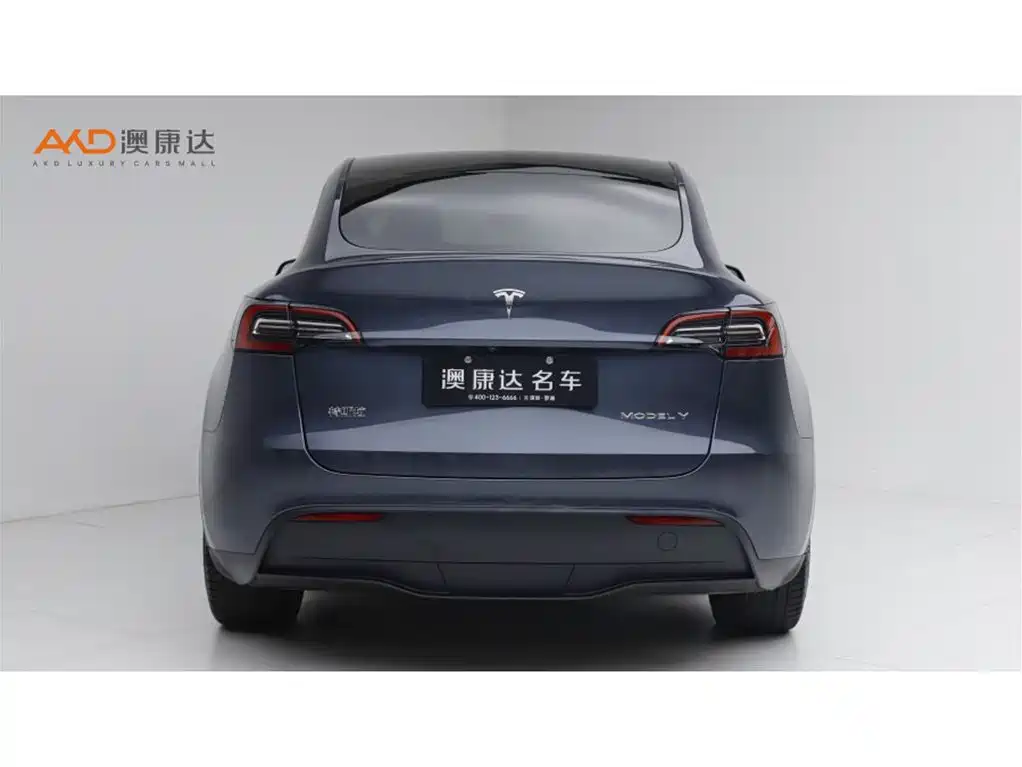 Tesla Model Y — миниатюра 4