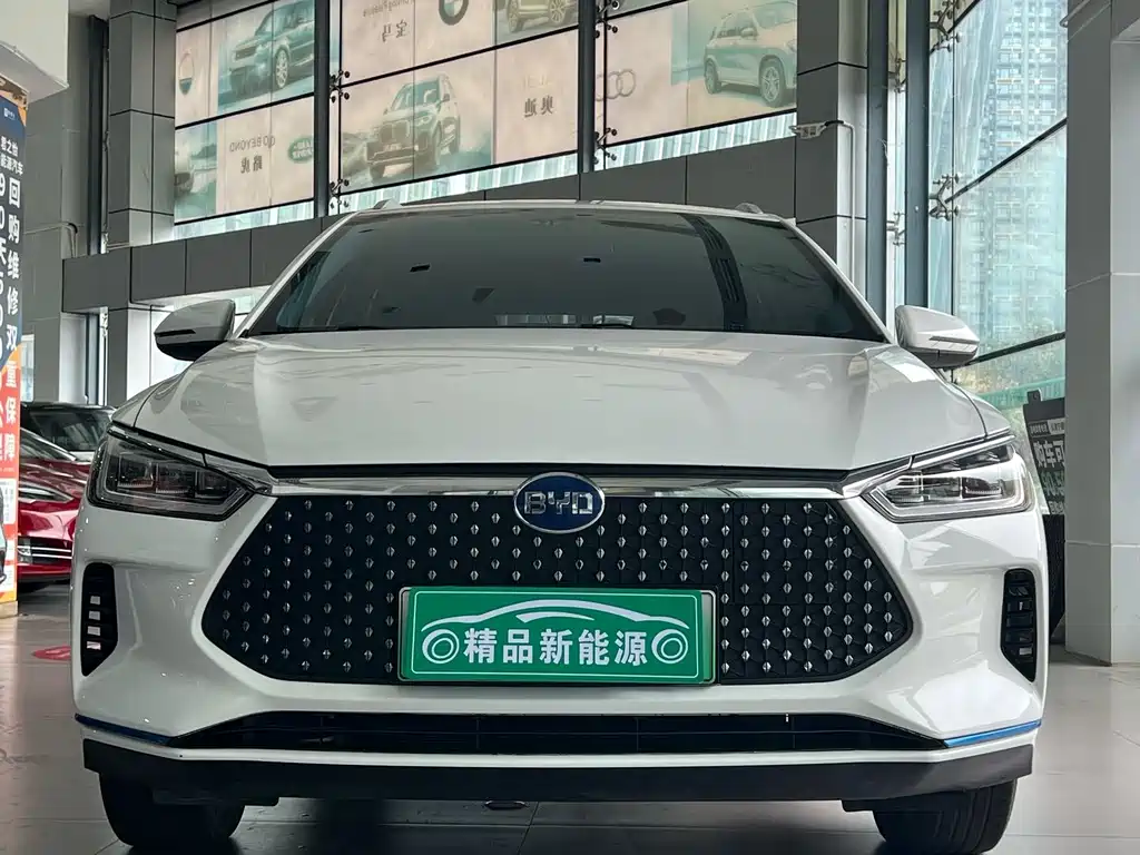 BYD E2