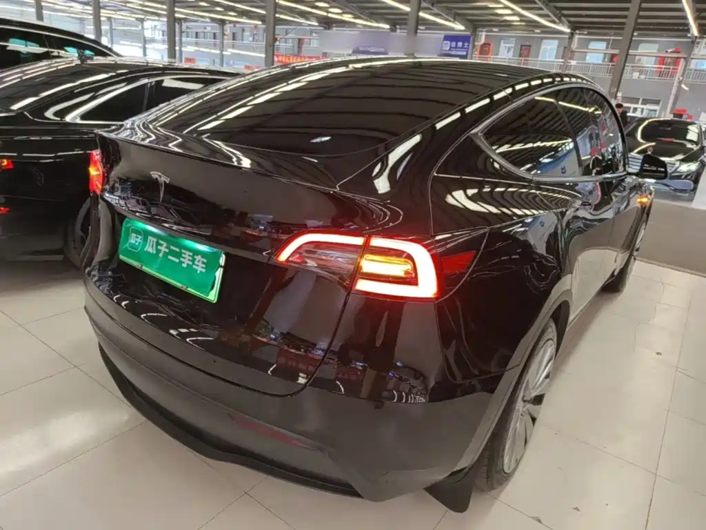 Tesla Model Y — миниатюра 7