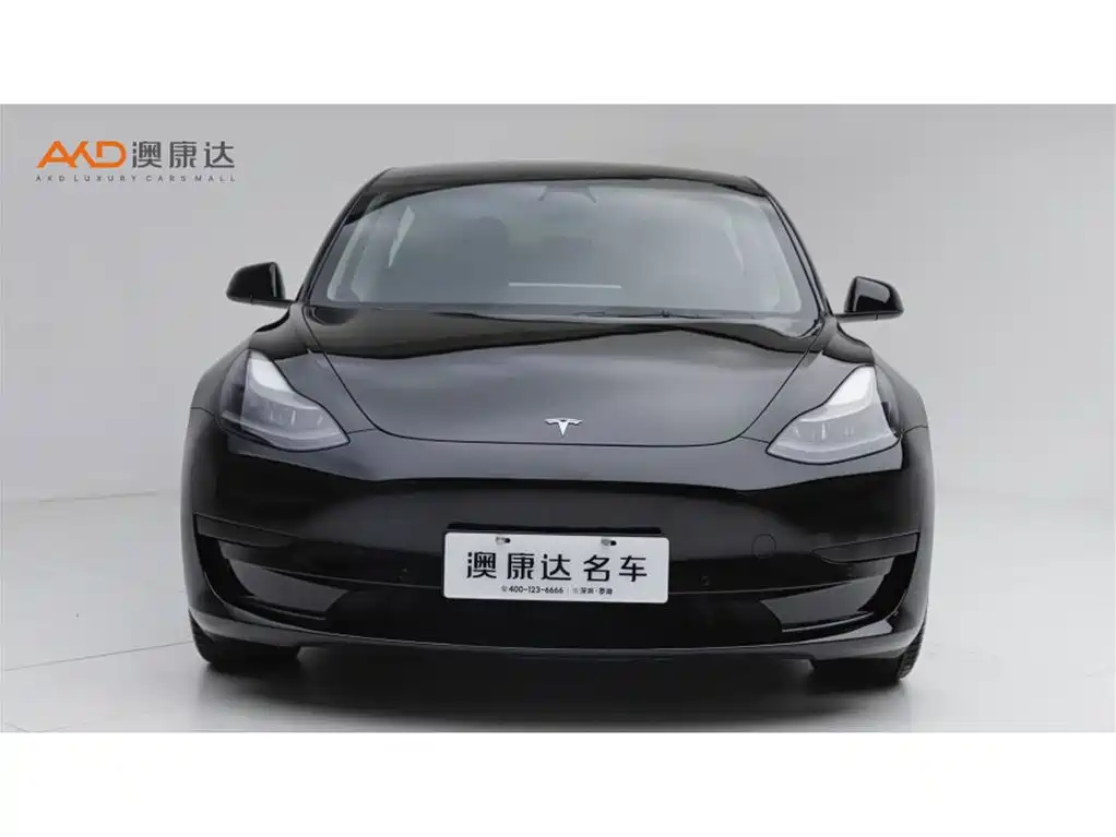 Tesla Model 3 — миниатюра 2
