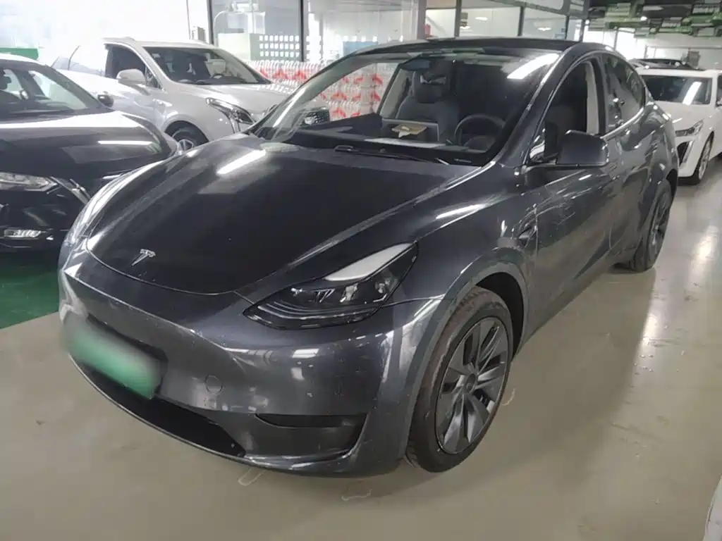 Tesla Model Y — миниатюра 2