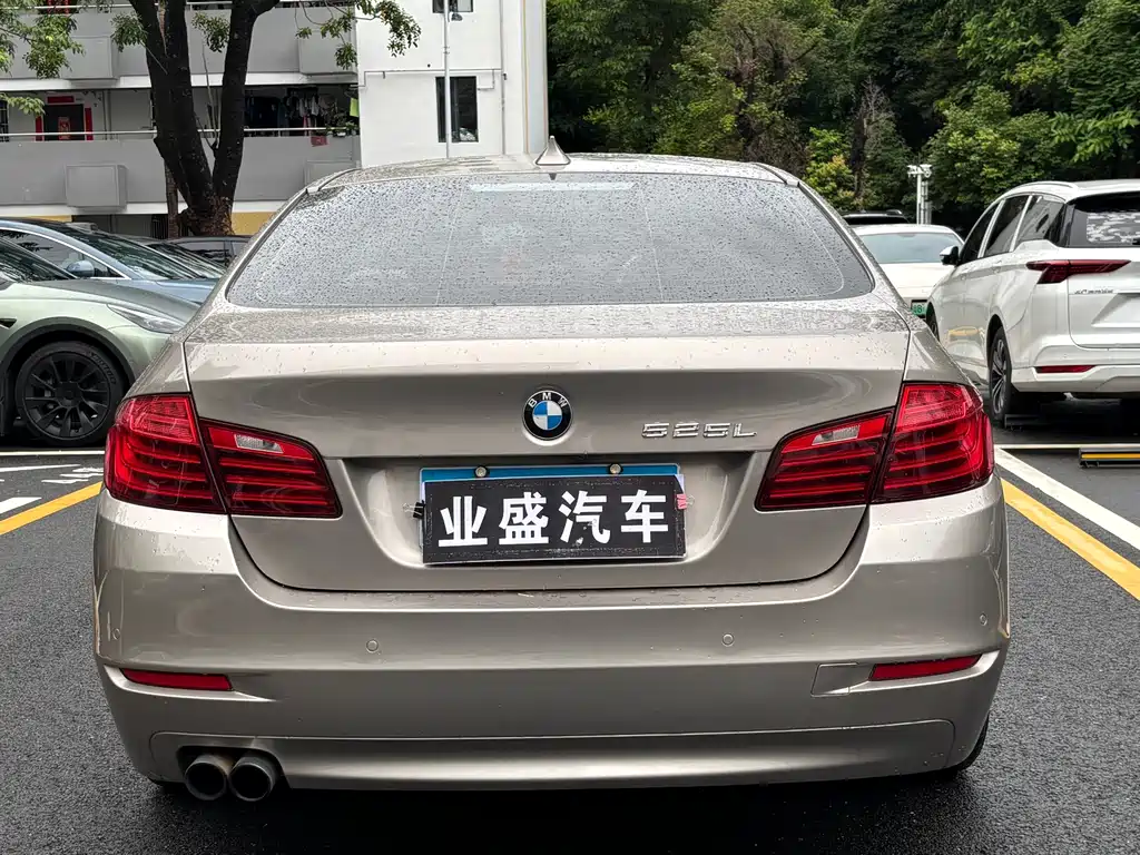 BMW 5 Series 5 2017 520Li Elegant