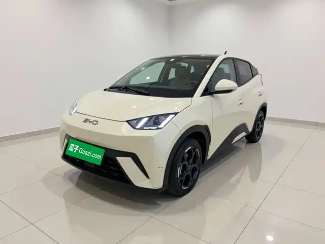 BYD Seagull