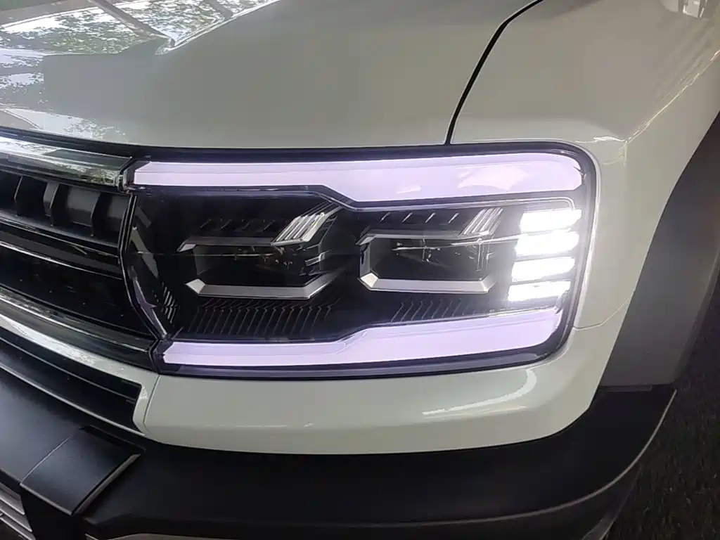 Fang Cheng Bao Leopard 5 — миниатюра 24