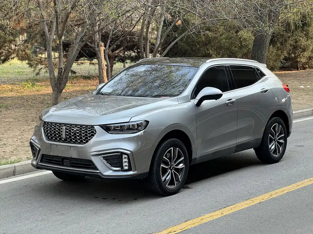 WEI PAI WEI BRAND VV5