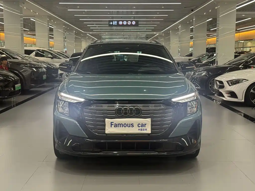 Audi Q5 e-tron — миниатюра 2