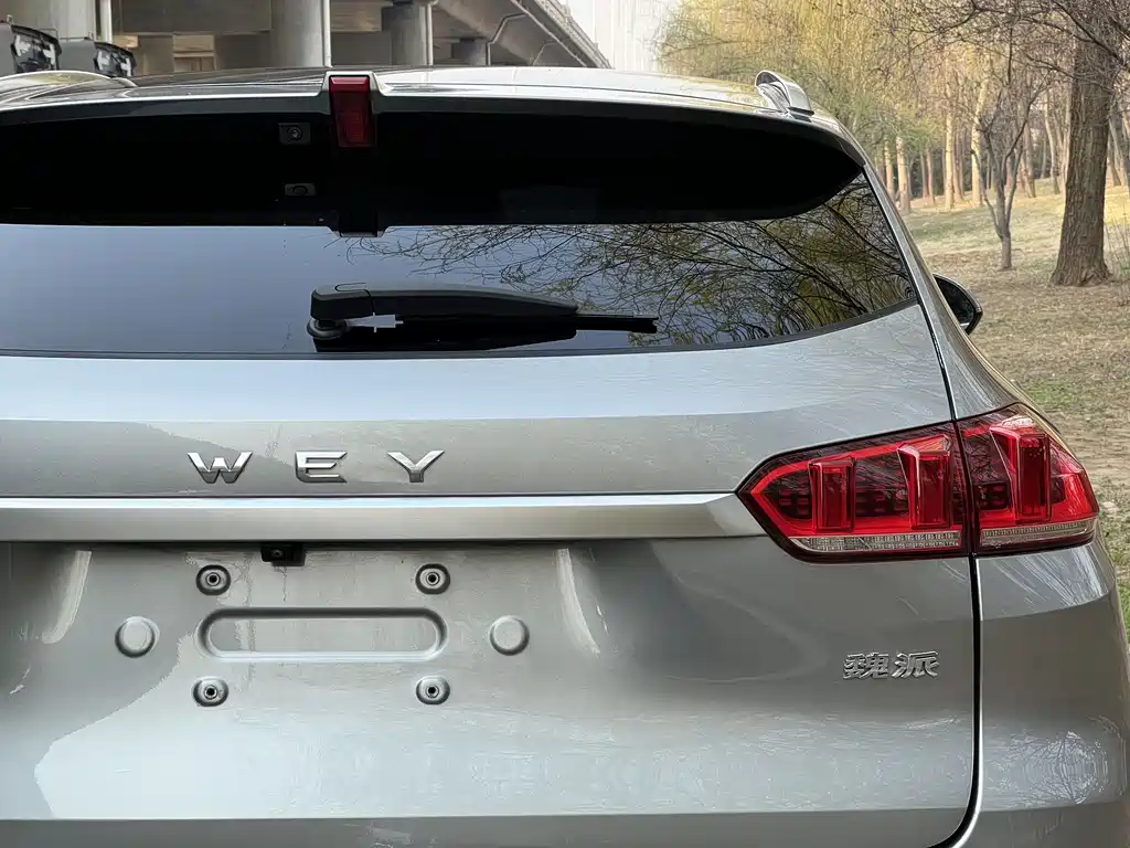 WEI PAI WEI BRAND VV5