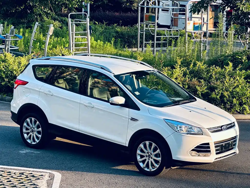 Ford Kuga 1.6L GTDi 2WD Comfort Type, фото 2