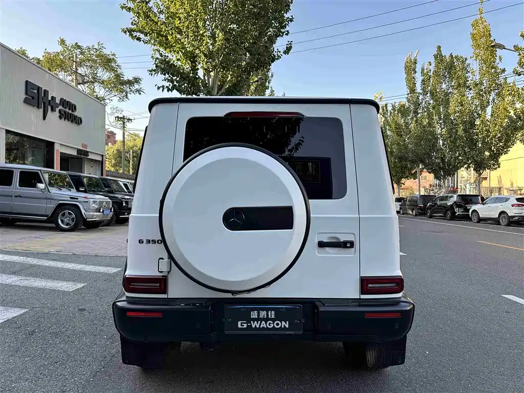 MERCEDES-BENZ G CLASS