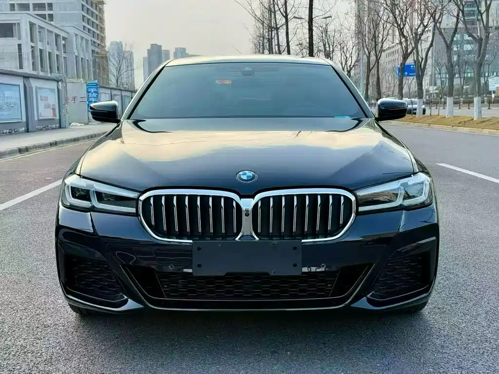 BMW 5 Series 5 2021 530Li Premium M Sport