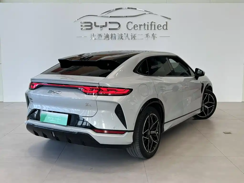 BYD L EV — миниатюра 4