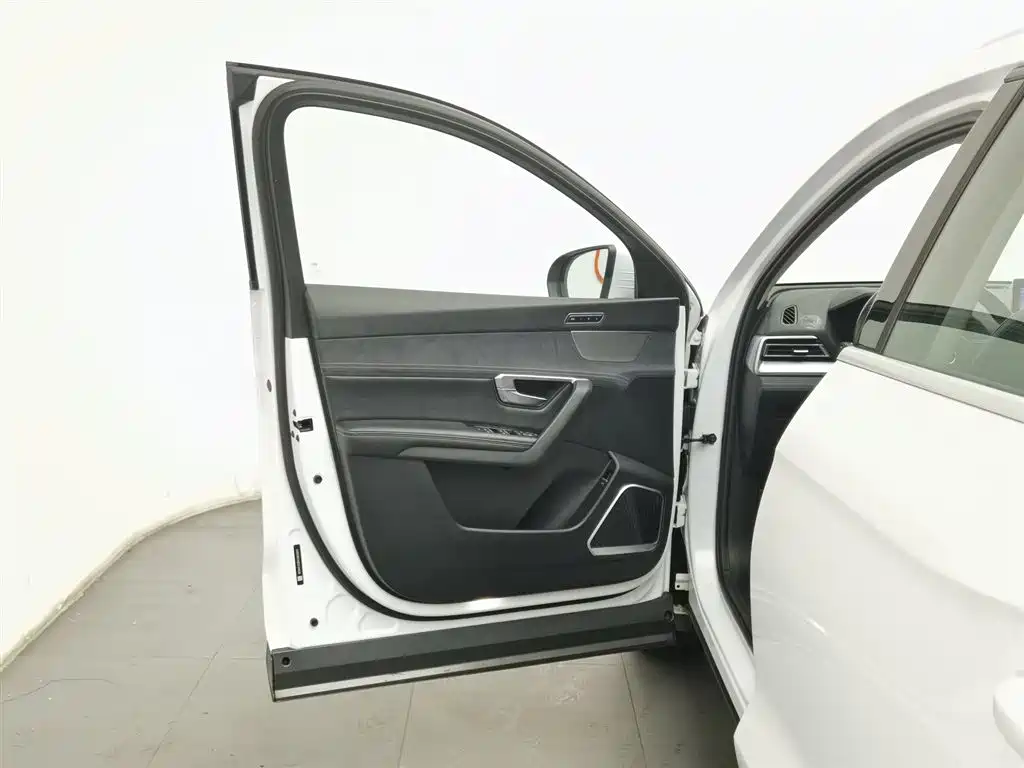 BYD SONGJIANG NEW ENERGY