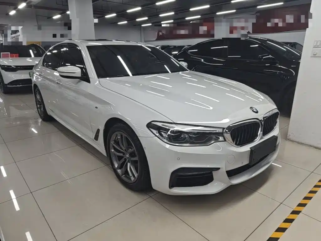 BMW 5 Series (Import) — миниатюра 4