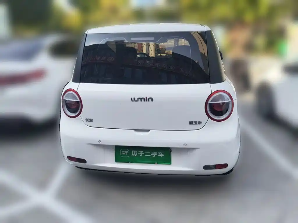 Qiyuan Lumin — миниатюра 3