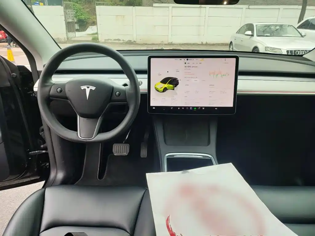 Tesla Model Y — миниатюра 10