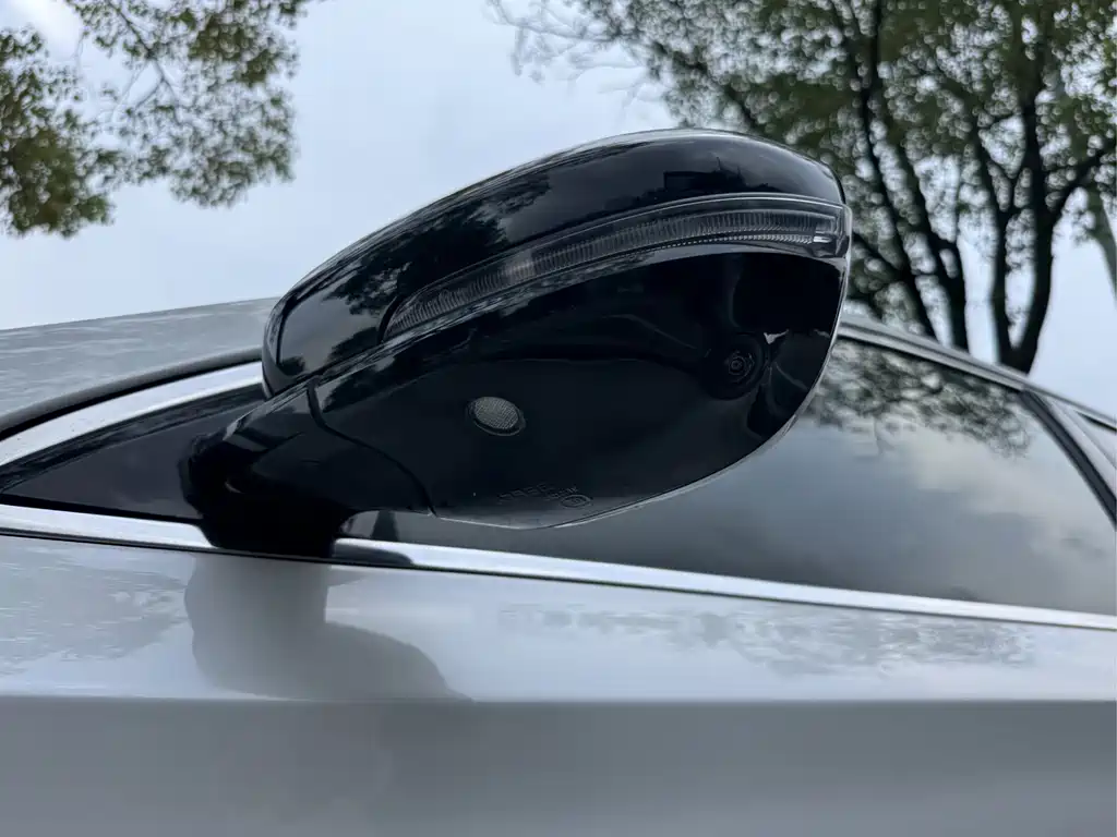 GEELY AUTOMOBILE BORUI