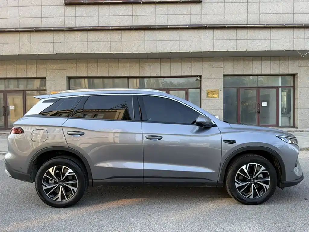 BYD Pro New Energy — миниатюра 20