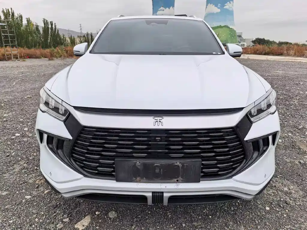 BYD Pro New Energy — миниатюра 2