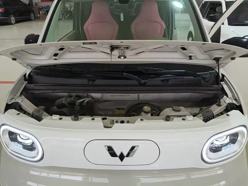 Wuling MINIEV — миниатюра 20