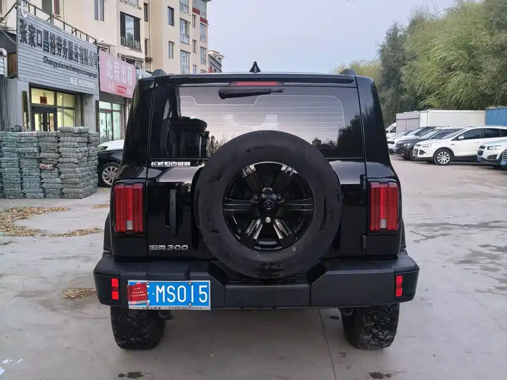 Tank Tank 300 — миниатюра 4