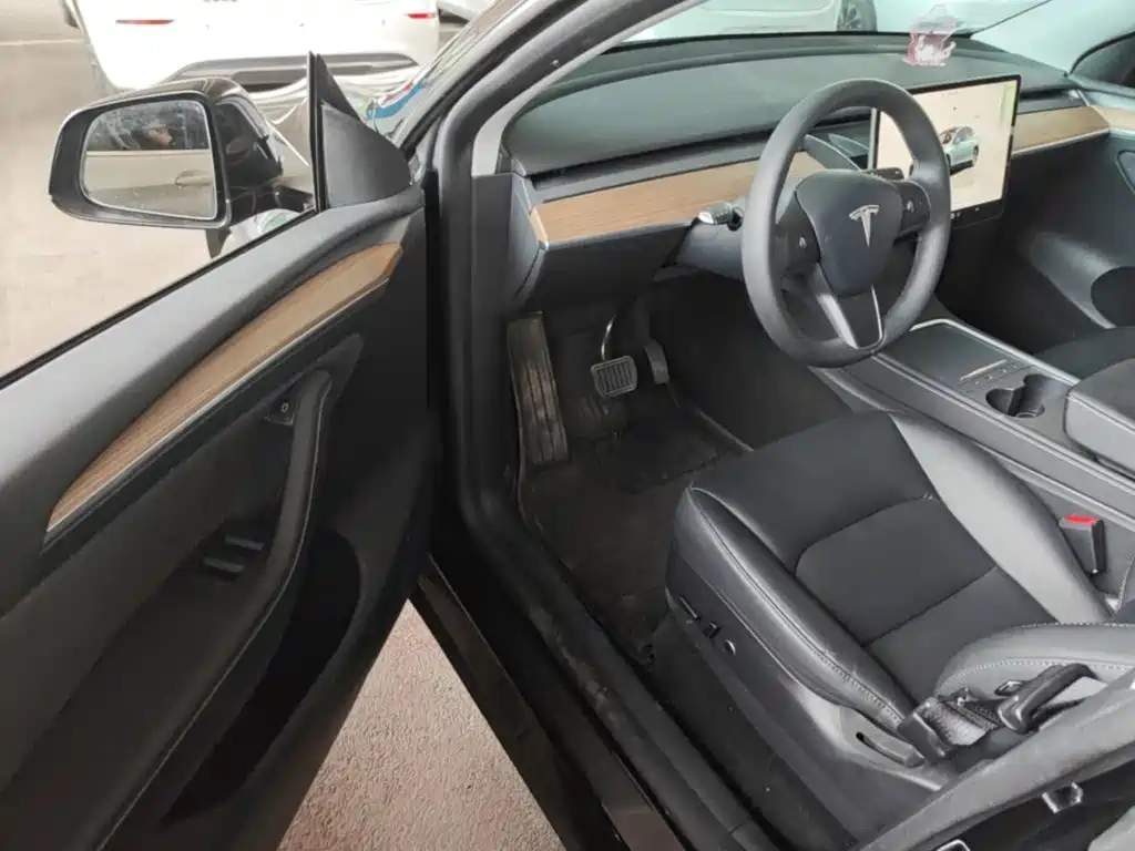 Tesla Model Y — миниатюра 16