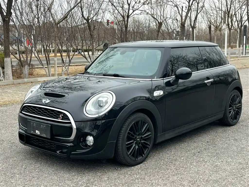 Mini Mini 2017