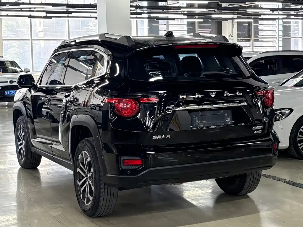 Haval Haval Big Dog PLUS — миниатюра 15