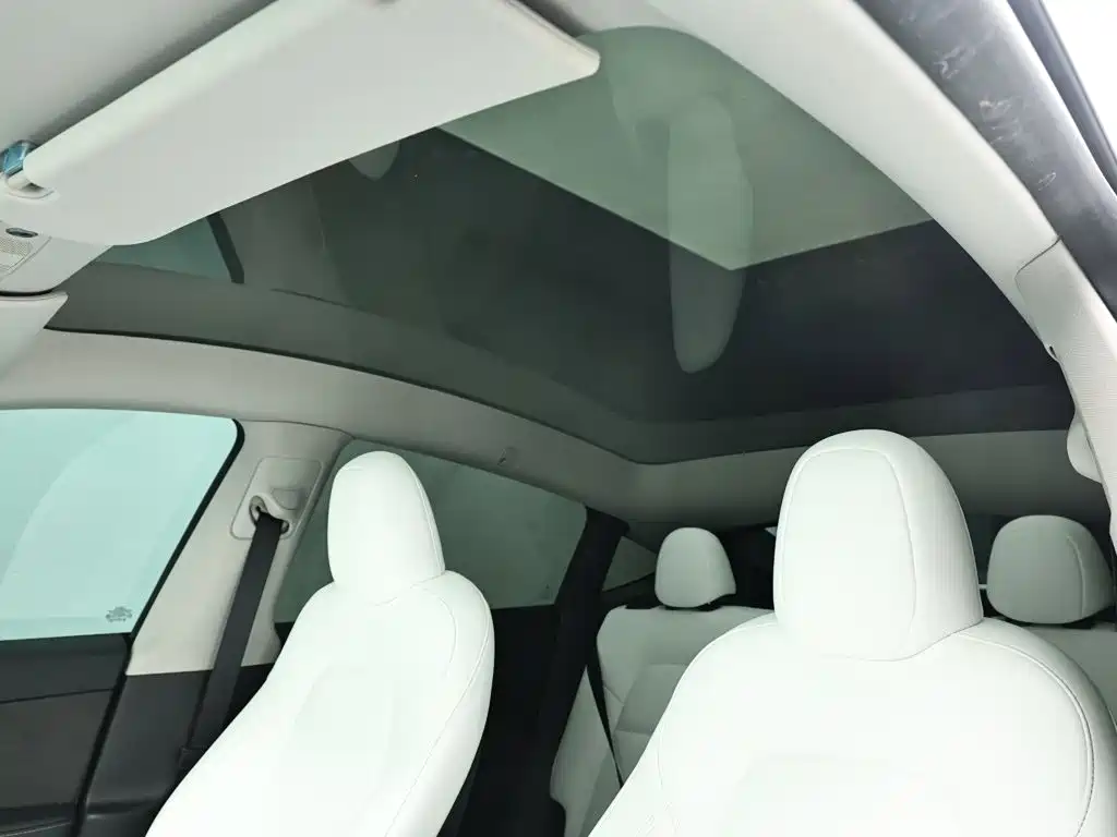 Tesla Model Y — миниатюра 13