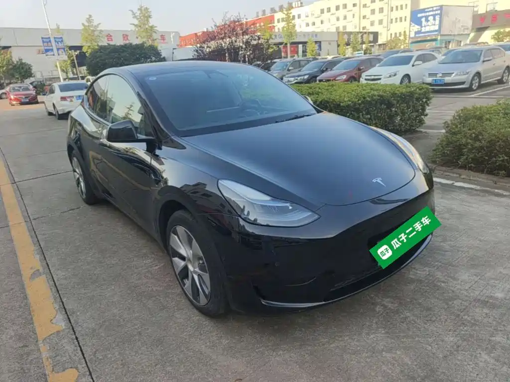 Tesla Model Y — миниатюра 4