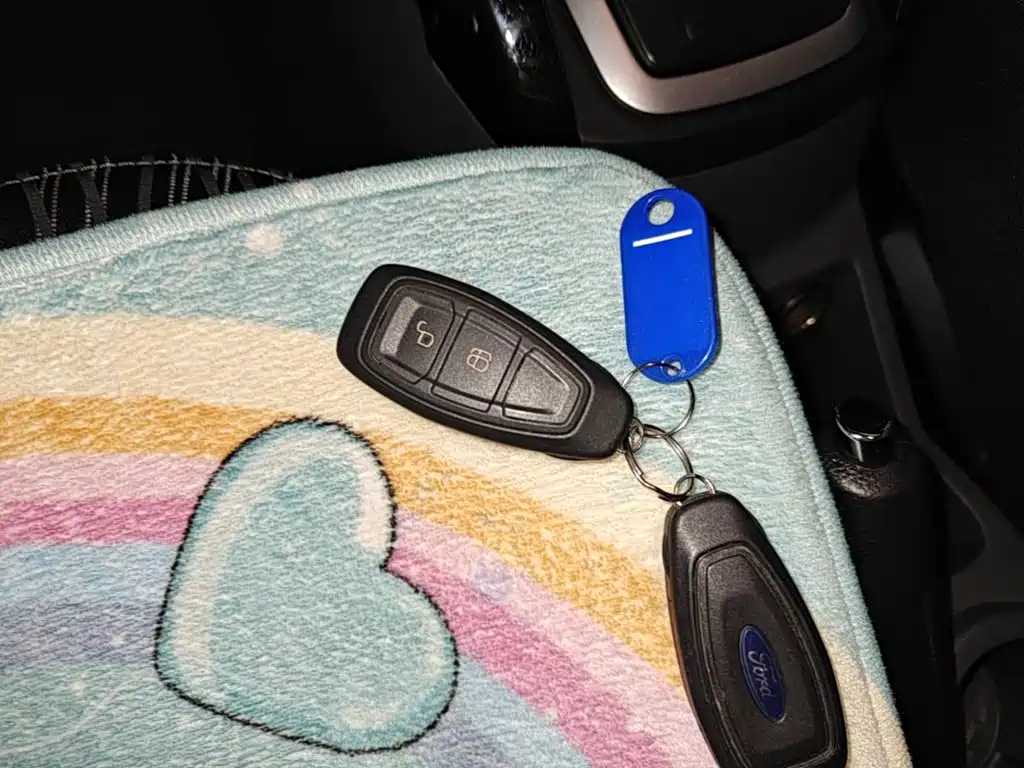 Ford Ecosport — миниатюра 9