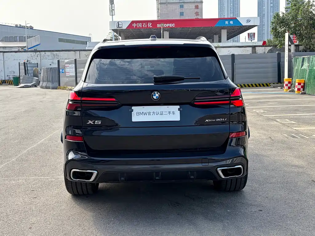 BMW X5 — миниатюра 7
