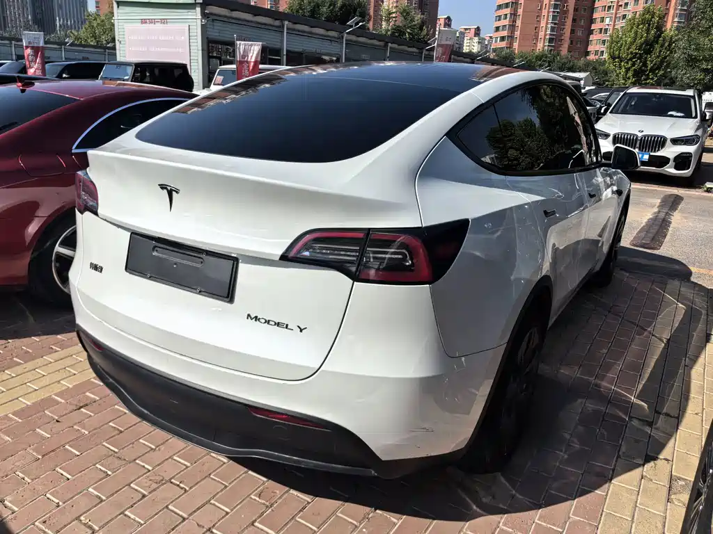 Tesla Model Y — миниатюра 6