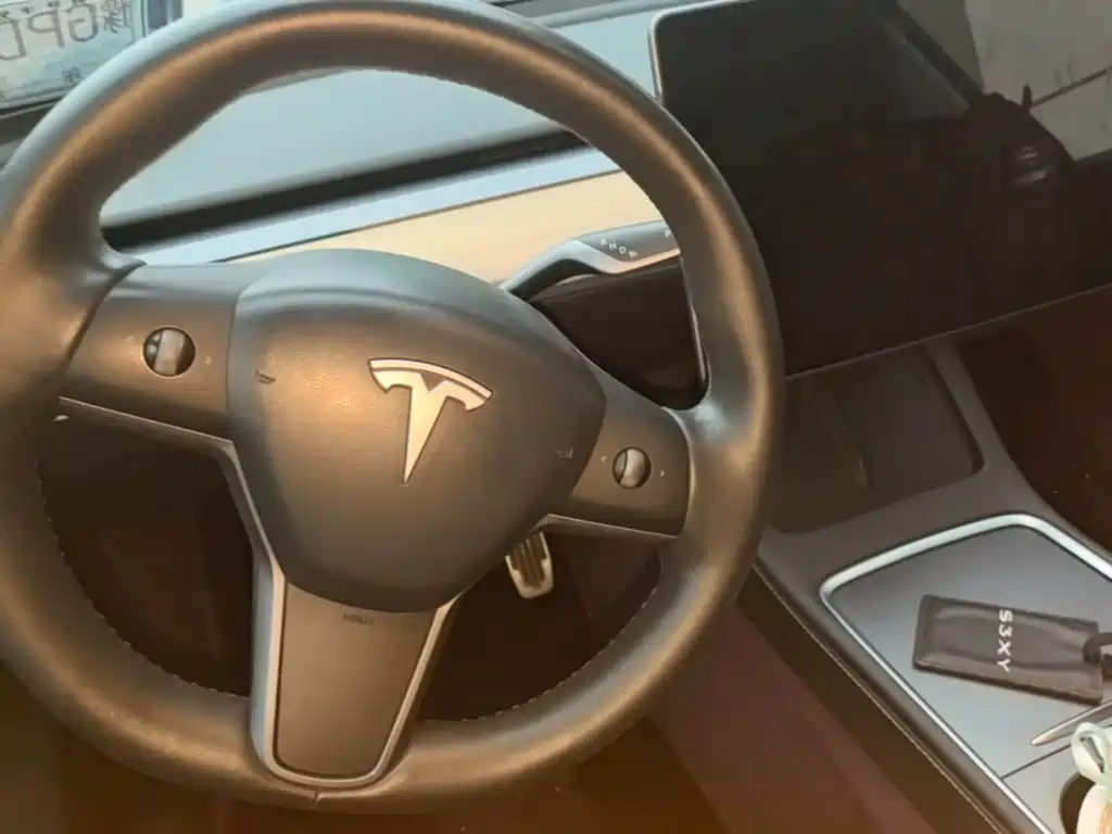 Tesla Model Y — миниатюра 14