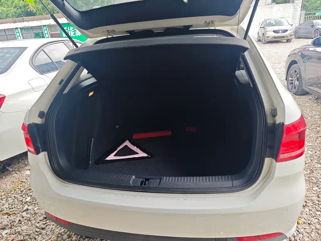 Volkswagen Gran Lavida — миниатюра 14