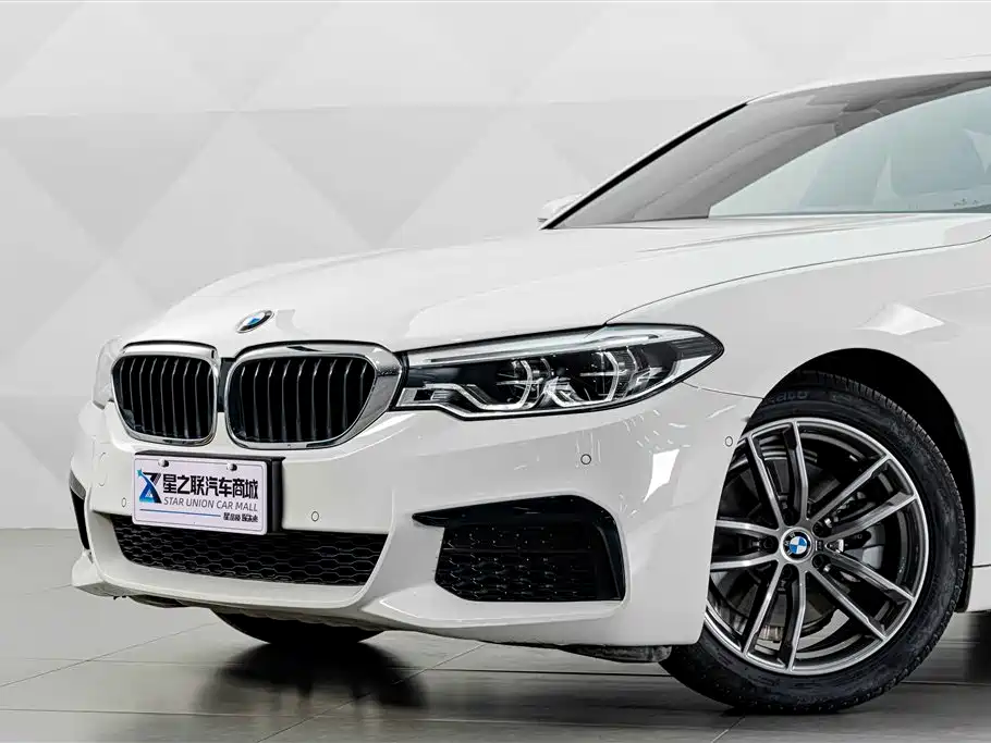 BMW 5 Series (Import) — миниатюра 3