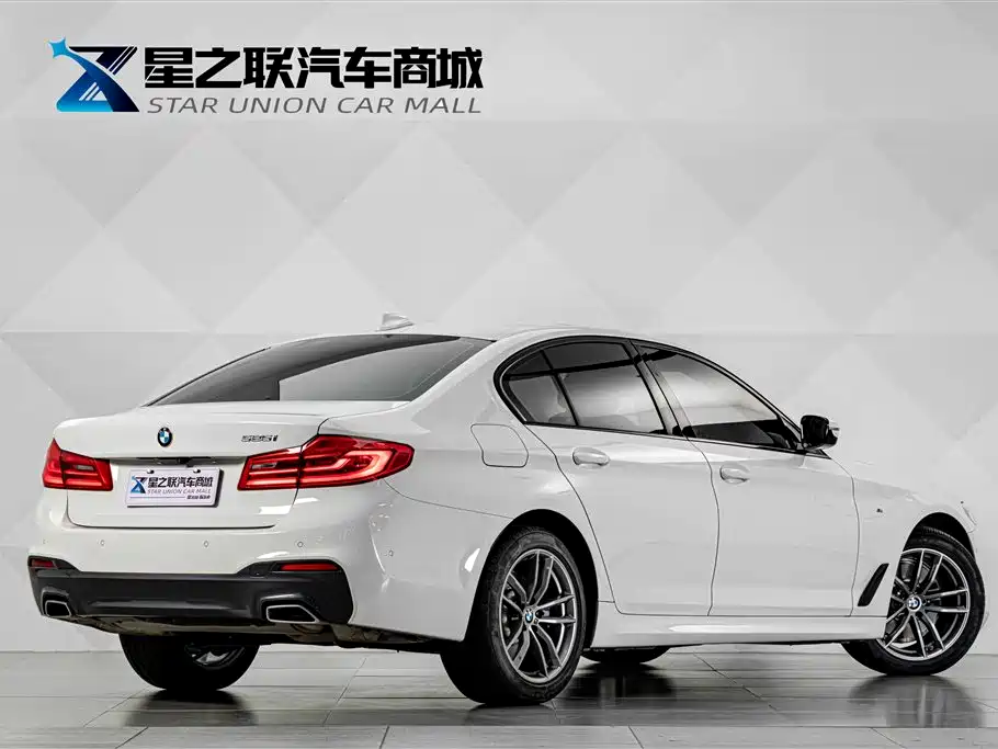 BMW 5 Series (Import) — миниатюра 6