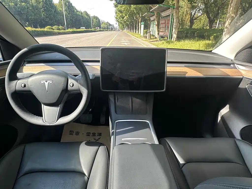 Tesla Model Y — миниатюра 8