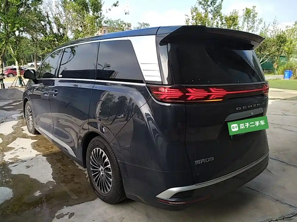 Denza Denza D9 — миниатюра 5