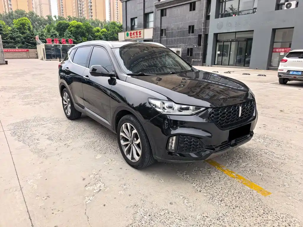 Wey Wey VV6 — миниатюра 3